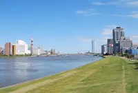 信濃川やすらぎ堤緑地の写真・動画_image_221621