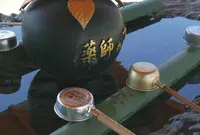 国分寺の写真・動画_image_237168