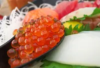 魚太郎 本店の写真・動画_image_245418