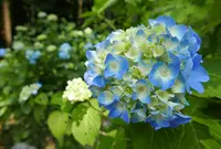 ２１世紀の森公園の写真・動画_image_247746