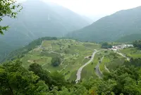 岐阜のマチュピチュの写真・動画_image_250307