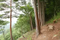 天空の遊歩道 岐阜のマチュピチュ ビュースポットの写真・動画_image_250309