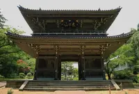 林泉寺の写真・動画_image_264474