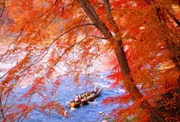 長瀞ライン下りの写真・動画_image_281677