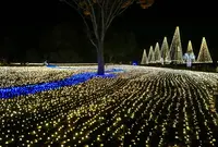 国営木曽三川公園・木曽三川公園センターの写真・動画_image_286614