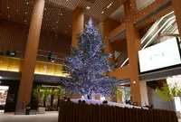 KITTE名古屋の写真・動画_image_286635