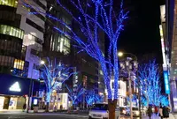 大津通の写真・動画_image_286674