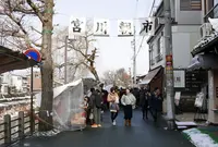 宮川朝市の写真・動画_image_289087