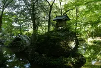 聖宝寺の写真・動画_image_317578