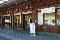 華厳ノ滝の写真・動画_image_328183