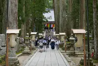 奥之院の写真・動画_image_411171