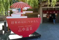 加賀　山中温泉　菊の湯の写真・動画_image_420076