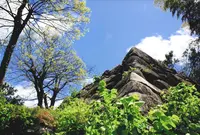大溝城趾の写真・動画_image_444178