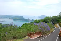 道の駅なんごうの写真・動画_image_518177