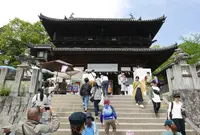 金刀比羅宮（こんぴらさん）の写真・動画_image_577095