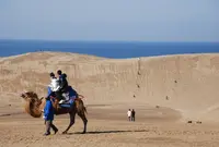 鳥取砂丘の写真・動画_image_645735