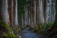 戸隠神社の写真・動画_image_698854