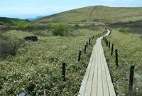 車山高原の写真・動画_image_766875