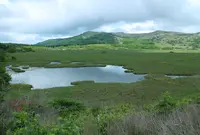 八島ヶ原湿原の写真・動画_image_769918