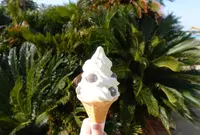 うさんちゅカフェの写真・動画_image_804222