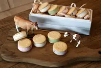 kulの写真・動画_image_804711
