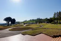 マザー牧場の写真・動画_image_831104