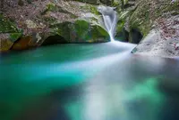 龍鎮神社の写真・動画_image_866654