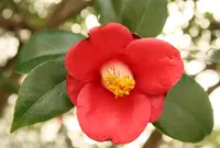 城山公園の写真・動画_image_875169
