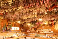 ダマスクの風 CAFEの写真・動画_image_878352