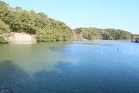 運動広場（越ヶ迫池近く）の写真・動画_image_882116