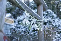 貴嶺宮の写真・動画_image_896358