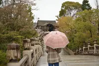 大谷本廟の写真・動画_image_902095