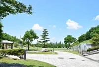 藤山健康文化公園の写真・動画_image_908558