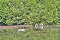 〒528-0035 滋賀県甲賀市水口町名坂１０３１−２０の写真・動画_image_919854