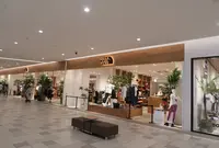 THE NORTH FACE+ 沖縄・浦添 PARCO CITY店の写真・動画_image_925385