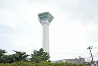 五稜郭タワーの写真・動画_image_934848
