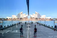 Campbells Cove Jettyの写真・動画_image_983584