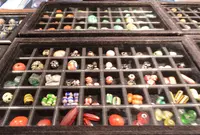 マヌー（Ｍａｎｏｏ）の写真・動画_image_32301