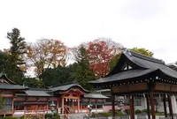 嵐電 西院駅の写真・動画_image_64185