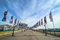 Pyrmont Bridgeの写真・動画_image_1035414