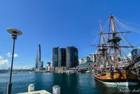 Pyrmont Bay ferry wharfの写真・動画_image_1035425