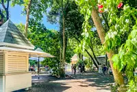 The cannopy grillの写真・動画_image_1141550
