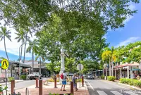 Macrossan Stの写真・動画_image_1145966