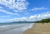 Four Mile Beachの写真・動画_image_1146471