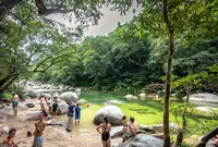 モスマン・ゴージの写真・動画_image_1146495