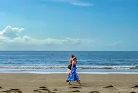 Palm Cove Beachの写真・動画_image_1146506