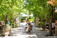 Golding Winesの写真・動画_image_1183337