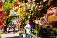ハーンドルフの写真・動画_image_1183341