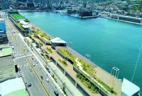 Lido Butterfly Gardenの写真・動画_image_1191606