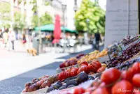 Plaza de Chuecaの写真・動画_image_1433621